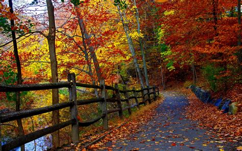 Im Herbst Park Bäume Zaun Straße fallende Blätter 2880x1800