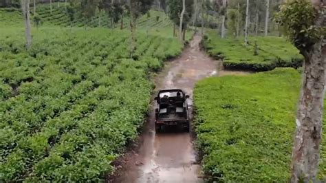 Mekar Mewangi Kopi Gunung Halu 1