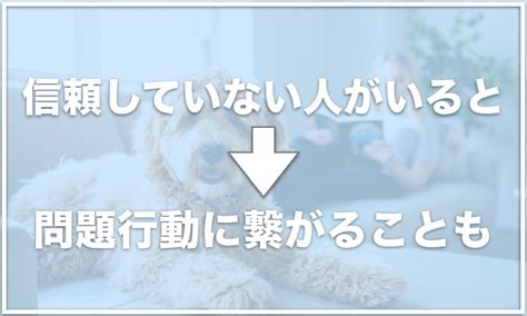 犬が家族の中で一番好きな人に見せる行動は？一番嫌いな人に見せる行動も調査！ 愛犬と満喫ライフ｜愛犬のしつけの悩みも解決！犬連れスポットからドッグフードの選び方まで徹底紹介