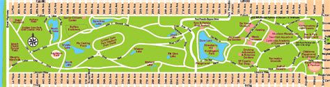 Golden Gate Park Map