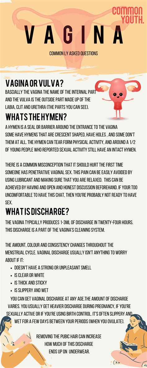 Vagina Or Vulva Bascially The Vagina The Name Of The Internal Part And