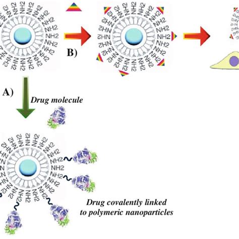 Nanoparticle Functionalization With Chemical Groups For Binding To Drug