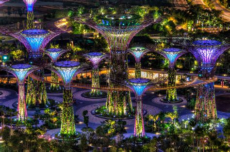 Supertree Grove Singapore Woahdude