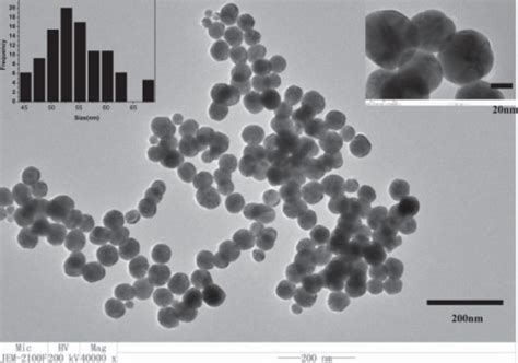 TEM Images Of Gold Nanoparticles Gold Nanoparticles Sy Open I