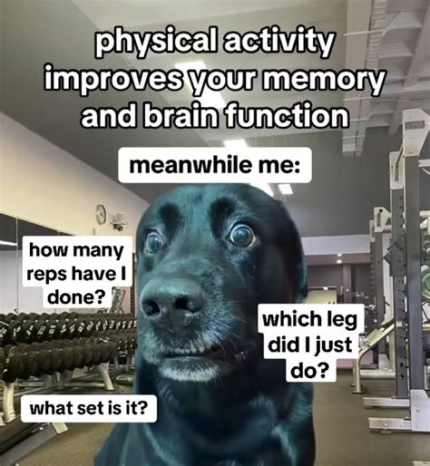 by Anna DeGraffenried on anna d 2025 in 2025 | Gym memes funny, Gym ...