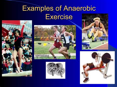 anaerobic exercise workout at home 7