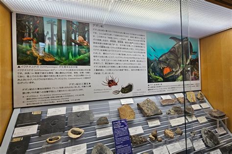 全国自然博物館の旅㉖東北大学理学部自然史標本館｜美原さつき