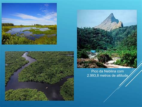 A GRANDE REGIÃO NORTE - aspectos físicos e geográficos .ppt