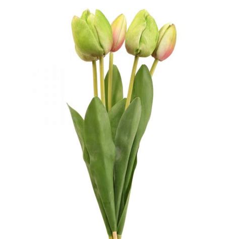 Floristik24 be Fleurs artificielles vert tulipe fleur printanière 48cm