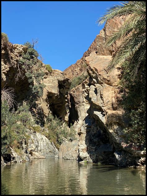 Discover Wadi Shees, enjoy lush greenery, nature trail