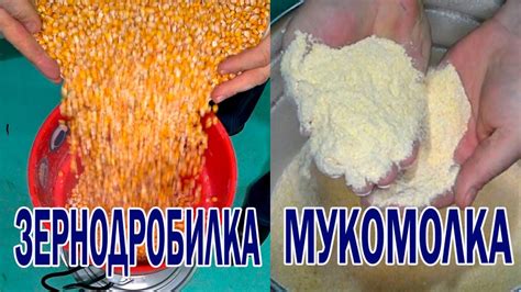 Мукомолка - Зернодробилка для бойлов. Бойлы своими руками - YouTube
