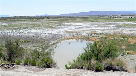 Drought, algae kill fish at Nevada reservoir