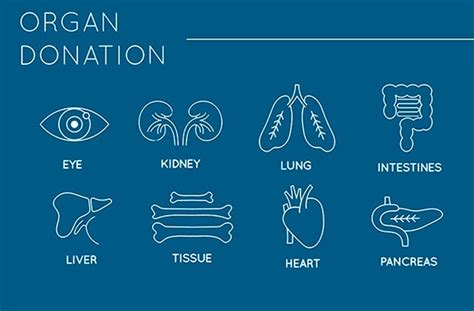 Five Quick Facts About Organ Donation Penn Medicine