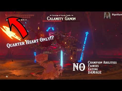 Calamity Ganon But Link Has Only Quarter Of Heart Zelda Botw Master