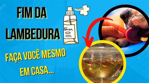 Remédio Caseiro Para Febre De Cachorro - COMO FAZER CACHORRO PARAR DE LAMBER PATA REMÉDIO CASEIRO CURA DERMATITE ...