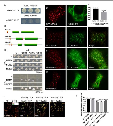 Figure From A Novel Plant Actin Microtubule Bridging Complex