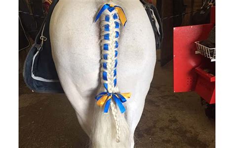 Prepare to be amazed — 18 showstopper tail plaits and braids - Horse ...