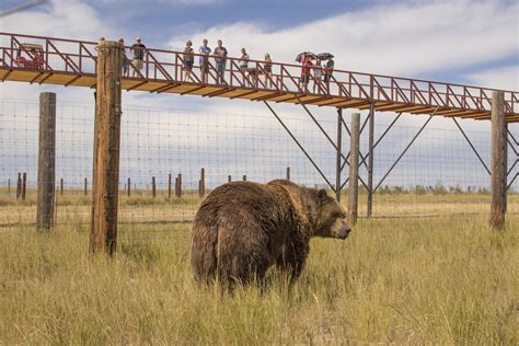 Discover Colorado River Park Wildlife Sanctuary: A Haven for Wildlife and Nature Enthusiasts