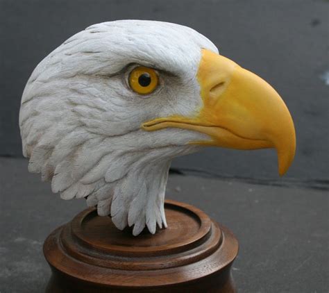 Bald Eagle Head Wood Carving | Images and Photos finder