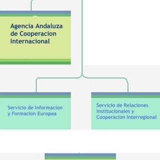 Organigrama De La Agencia Andaluza De Cooperaci N Internacional