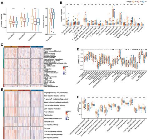 Defining Three Ferroptosis Based Molecular Subtypes And Developing A