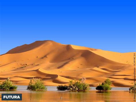 Désert Du Sahara Un Fond Décran Futura à Télécharger Deserts Of