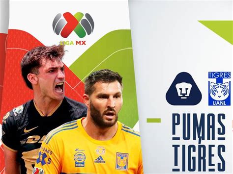 Pumas Vs Tigres En Vivo D Nde Cu Ndo Y A Qu Hora Ver El Partido De