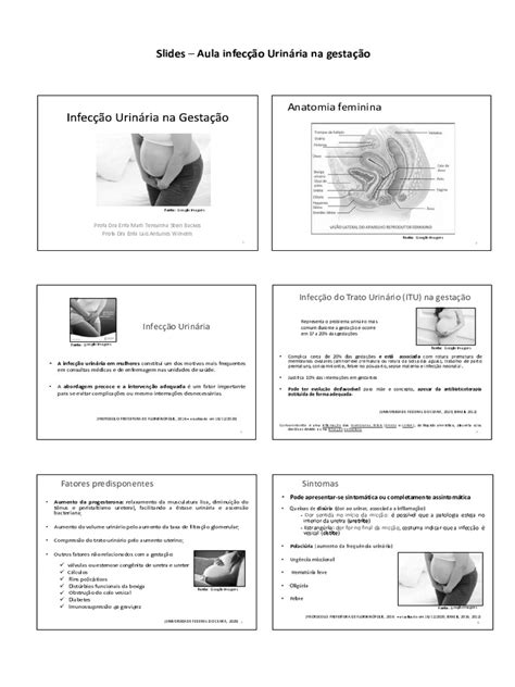 Slides Aula Infecção Urinária Na Gestação Print Pdf