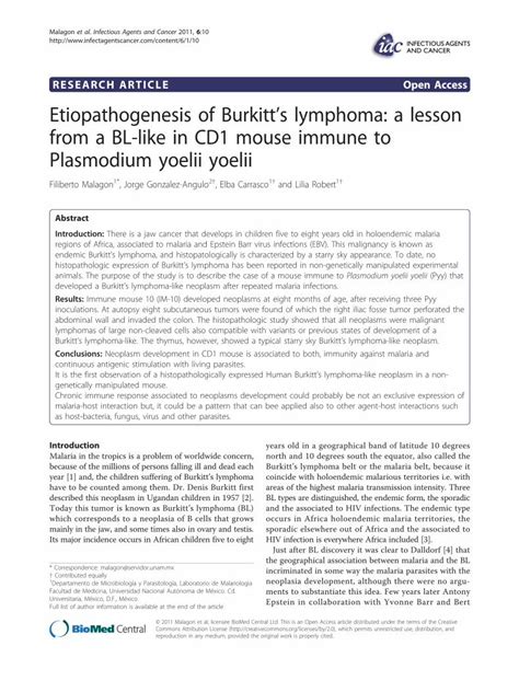 Pdf Etiopathogenesis Of Burkitt S Lymphoma A Lesson From A Bl