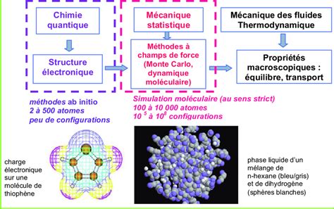 Position Des Diff Rentes M Thodes De Mod Lisation Mol Culaire Par