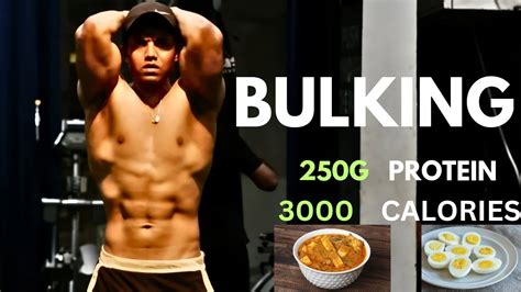 Full Day Eating Bulk 3000 Calories 250 Gram Protein Bulk Series