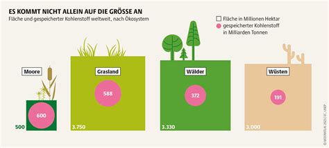 Mooratlas 2023 Daten Fakten zu nassen Klimaschützern