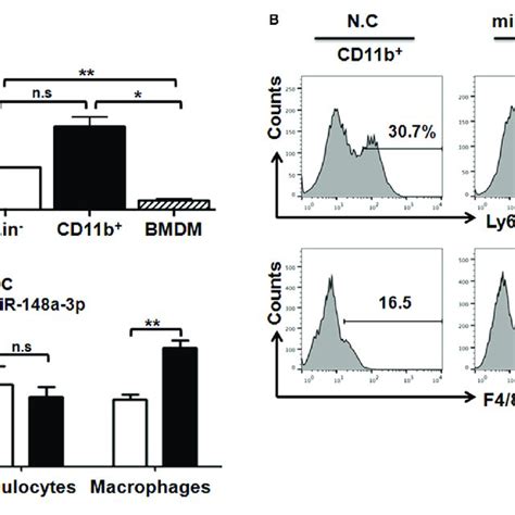 Pten Is A Target Of Mir 148a 3p In Macrophages A The Sequence Of Download Scientific