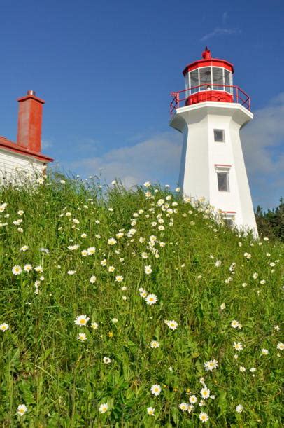 Lighthouse of Cape Gaspé in Gaspé: 1 reviews and 4 photos