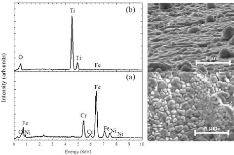 Sem Images And Edx Spectra A Unpolished Stainless Steel Substrate B Download Scientific