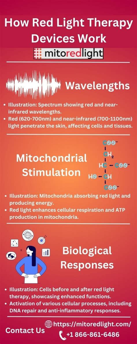 How Red Light Therapy Devices Work Mito Red Light Imgvb