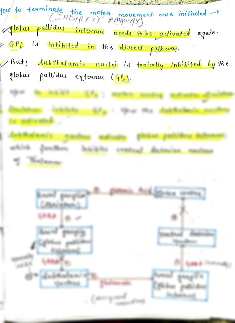 Solution Basal Ganglia Studypool