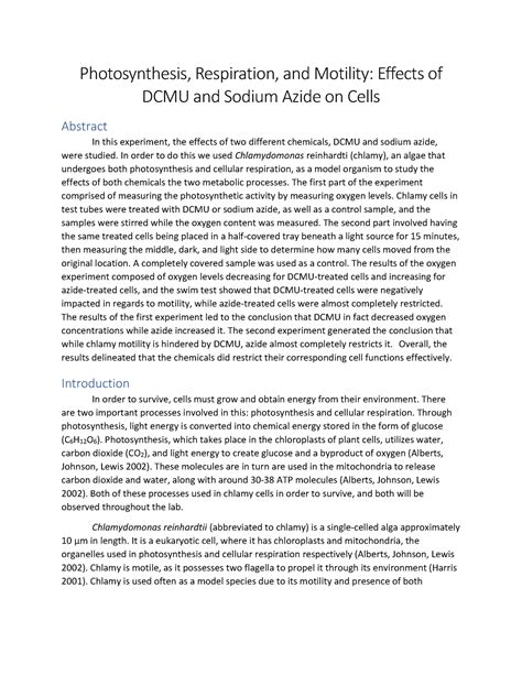 Lab Report Test Photosynthesis Respiration And Motility Effects Of