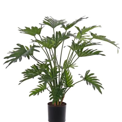 Philodendron Selloum Hoogte Cm Kunstplant Philodendron Selloum Kopen