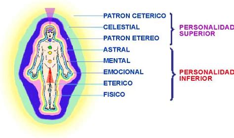 Cuerpos Sutiles Anatomia Multidimensional Del Ser Humano