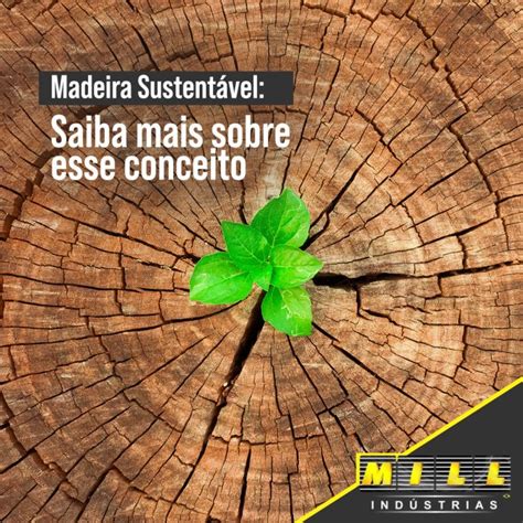 Madeira sustentável Saiba mais sobre esse conceito Mill Indústrias