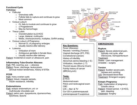 Types of ovarian cysts | PPT