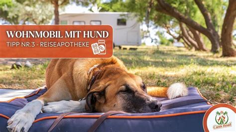 Wohnmobil Mit Hund Tipps F R Camper Mit Hund