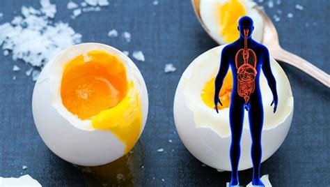 Heres What Happens To Your Body If You Eat 2 Eggs Daily