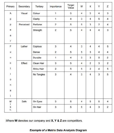 Qualitative Data Analysis Matrix