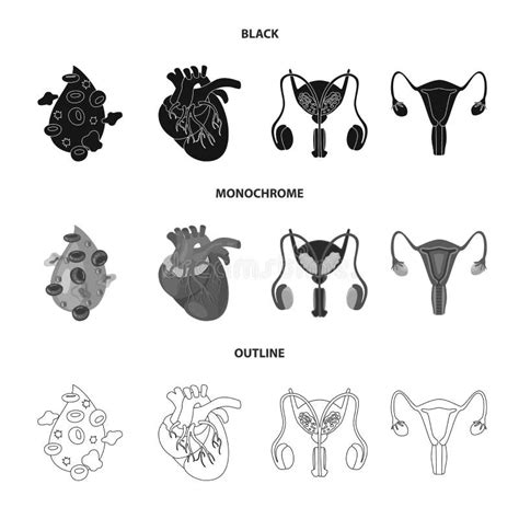 Vector Design Of Biology And Scientific Symbol Set Of Biology And