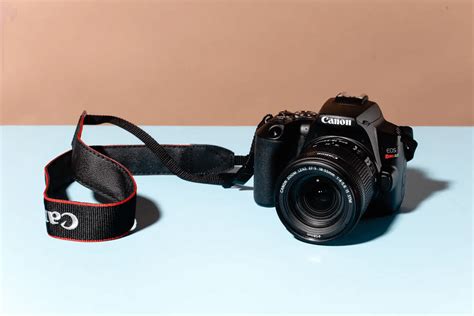 What Are the Features of The Best-Selling Beginner DSLR Cameras? 2024 ...