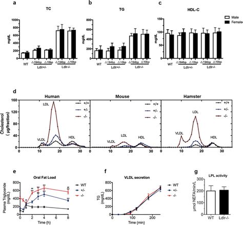 Analysis Of Plasma Lipids Oral Fat Load Vldl Secretion And Download Scientific Diagram