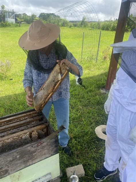 Bee Farm Tour By Jennifer Bach Hilo Vacation Homes