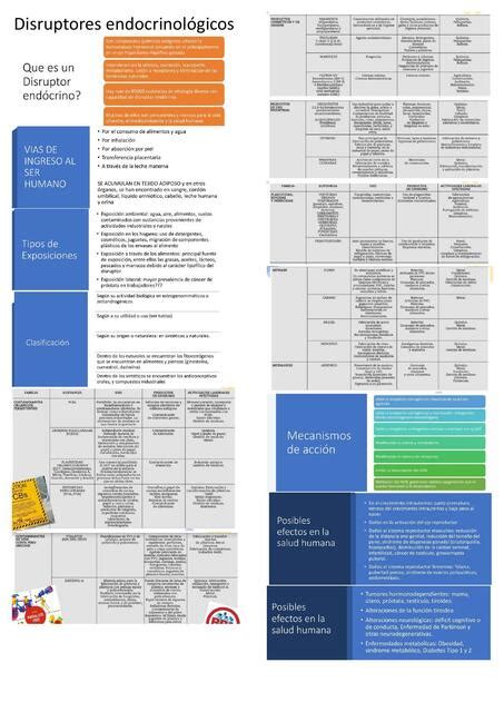 Disruptores Endocrinos Luisana Aneth Cr Udocz